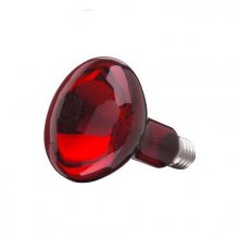 philips-r95e-small